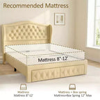 Struttura Letto Matrimoniale 133,6 cm di altezza con 2 Cassetti, Testiera in Velluto a Trapunta e Design con Alette Laterali