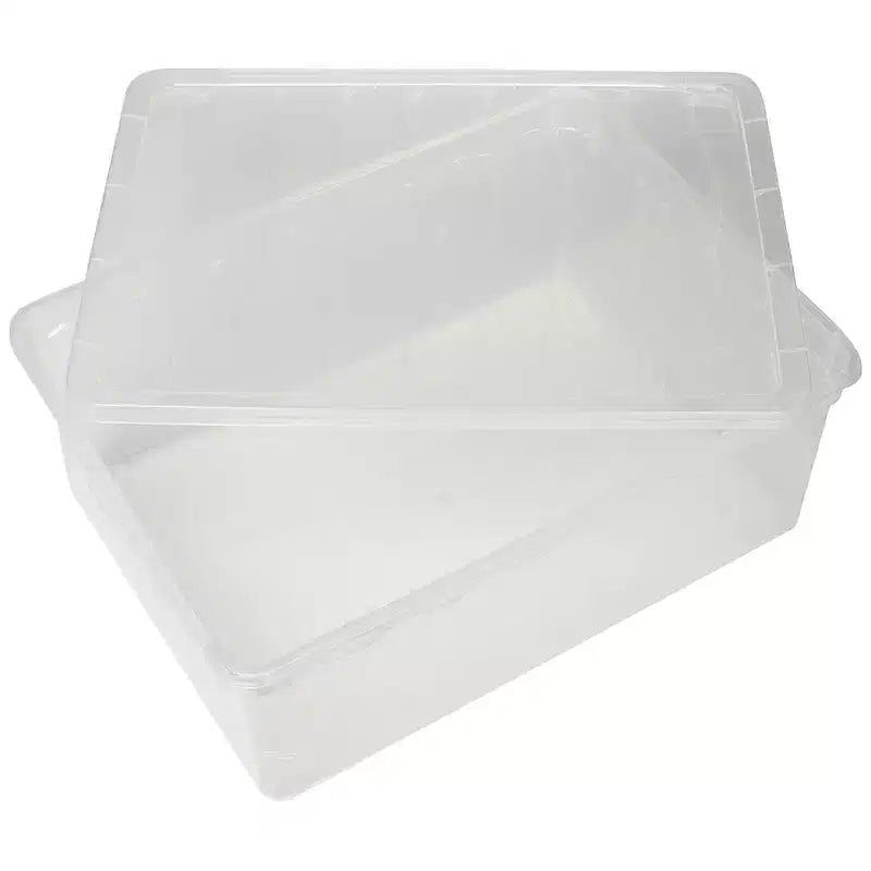Scatole per Scarpe Trasparenti con Coperchio - Organizer Impilabile in Plastica per Armadi e Sneakers
